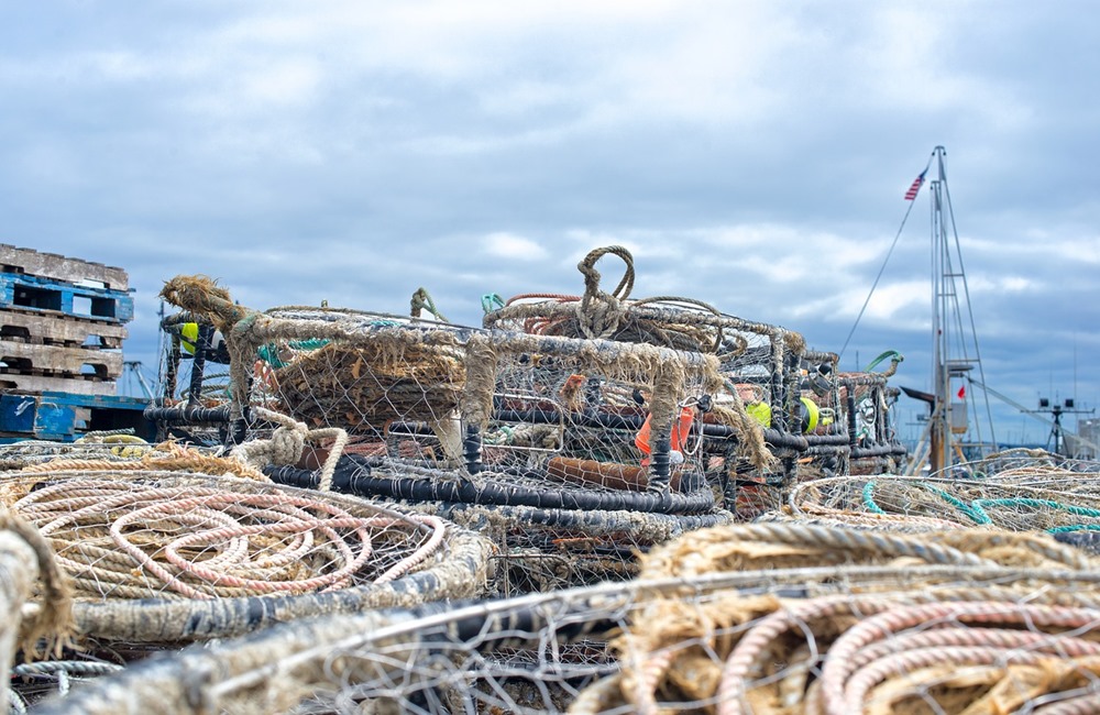 crab-pots-and-rope-3443234_1280