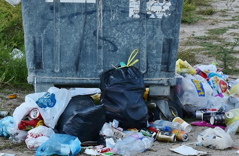 Мундеп Фаттуш раскритиковала Смольный за непродуманность мусорной реформы