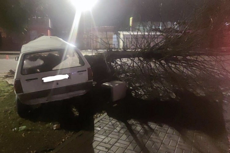 Пьяный рецидивист прокатил собутыльника на угнанном автомобиле, но они врезались в дерево