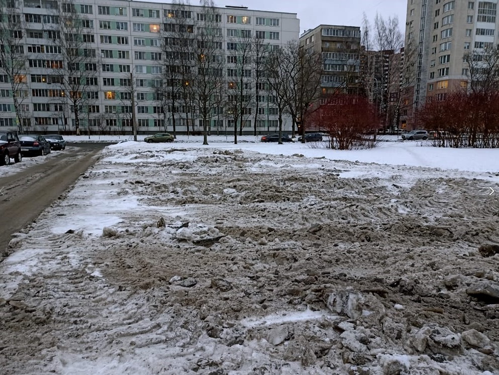 Сваленные на газоны кучи грязного снега могут оставить Петербург без зеленых насаждений