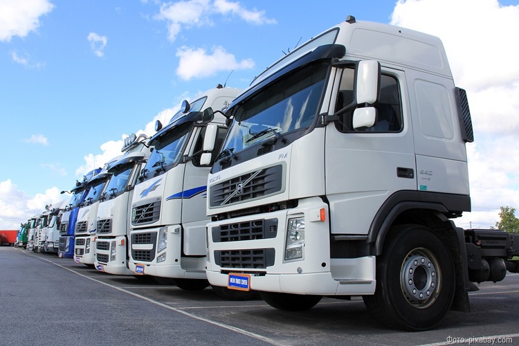 Из Польши и Литвы в Калининградскую область за сутки въехало 175 грузовиков