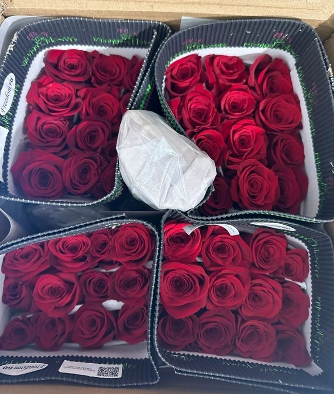 Цветы  (1)