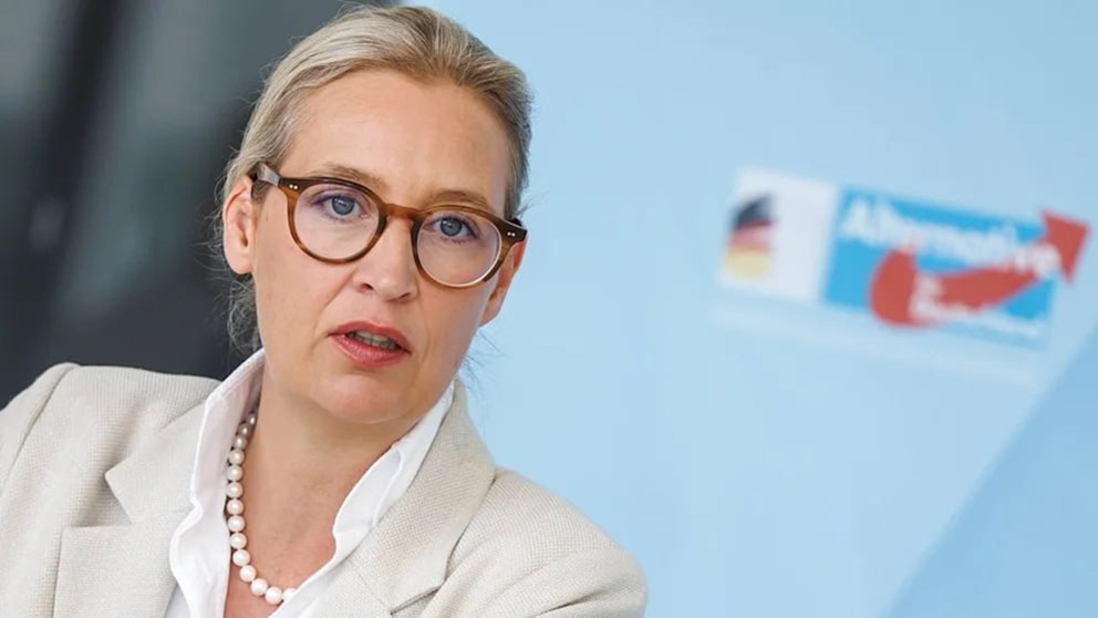 АдГ может стать крупнейшей партией Германии — показывают опросы