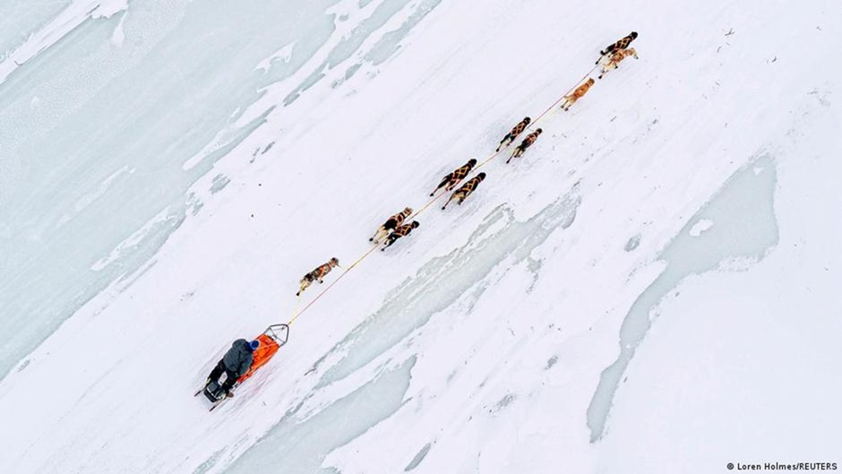 Представителя Трампа передумали приглашать на гонки в Гренландии